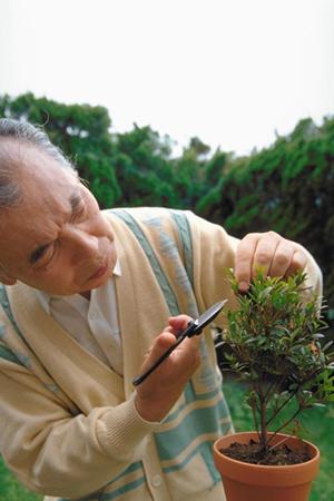 介護派遣で働くメリットについて